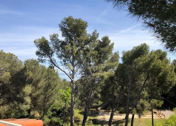T3 Avec Grande Terrasse Et Jardin Sur Les Hauteurs De Martigues